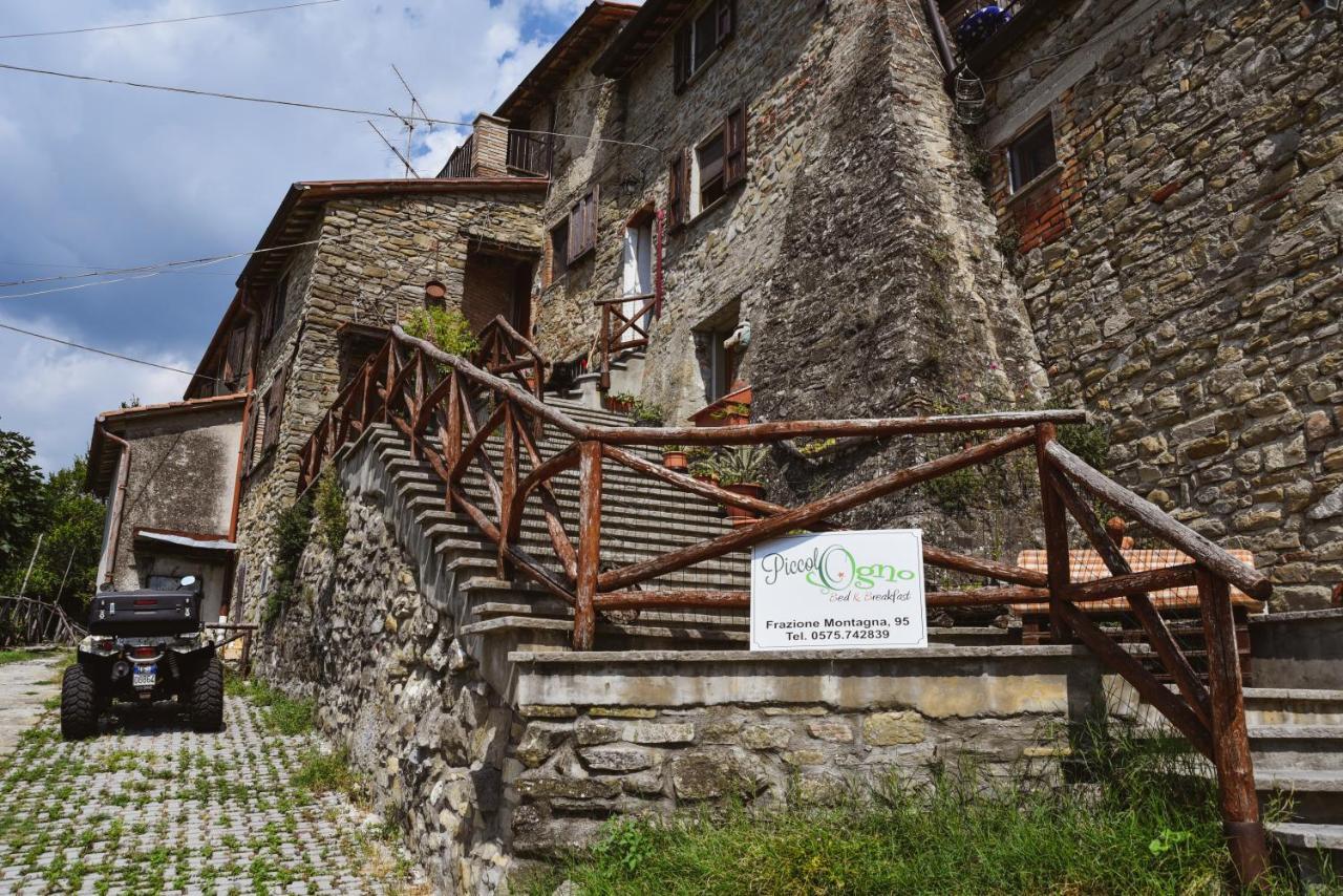 Piccolo Sogno B&B Sansepolcro Exterior foto